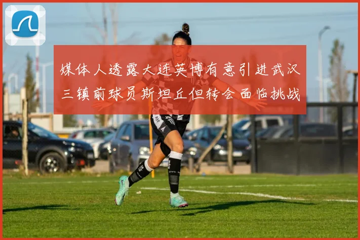 媒体人透露大连英博有意引进武汉三镇前球员斯坦丘但转会面临挑战