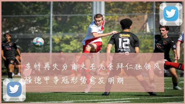 多特再失分南大王无奈拜仁独领风骚德甲争冠形势愈发明朗