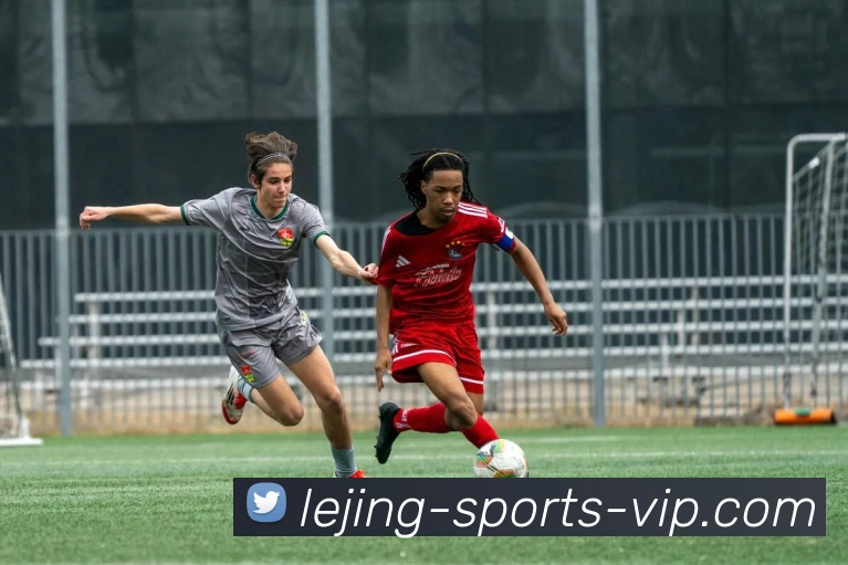 乐竞体育平台生态图